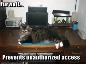 funny-pictures-furwall-prevents-unauthorized-access